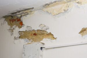 Cómo evitar destrozos de inquilinos